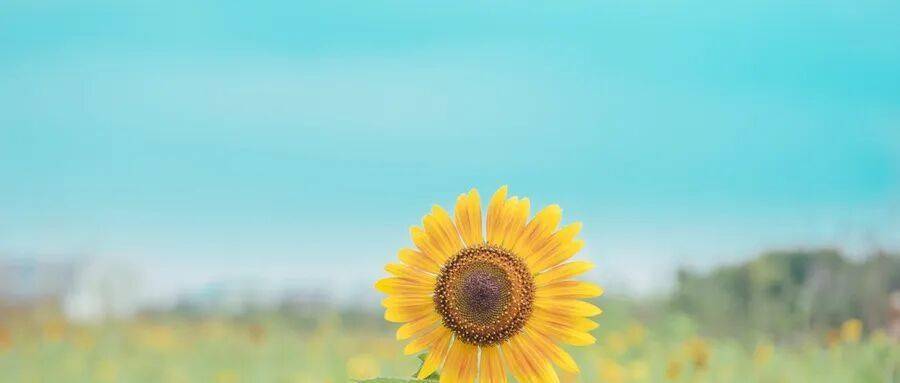 5刷屏母婴圈的行业大事你还记得多少？PG麻将胡了年终盘点！那些在202(图4)